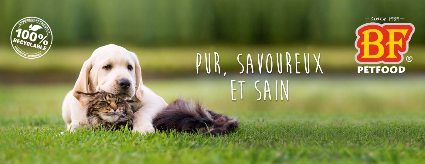 Plus d'information <a href='https://www.bfpetfood.fr/chien/info/102/alimentation.html'>CHIEN</a> - <a href='https://www.bfpetfood.fr/chat/info/83/alimentation.html'>CHAT</a>